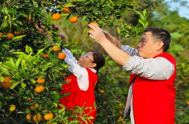 新消息！正品烟草批发货到付款便宜价格“以貌取人”
