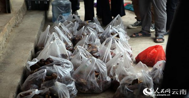 红双喜南洋经典价格查询 红双喜南洋经典价格表图一览表 