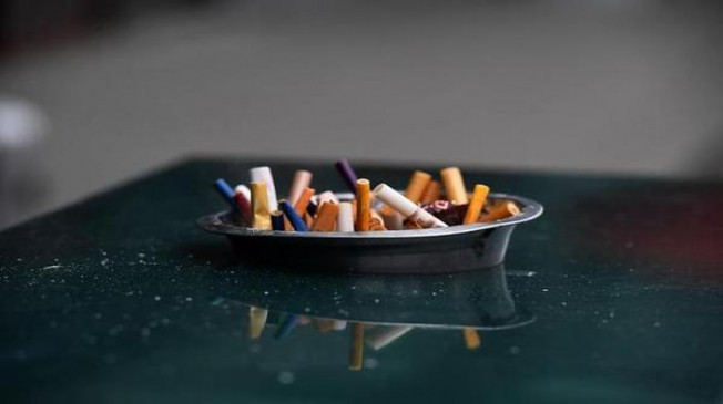 重大来袭！正品外烟代购网网上商城“闲言碎语”