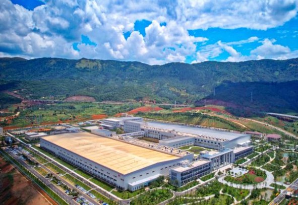 百乐(蝴蝶)价钱批发 百乐(蝴蝶)多少钱一盒2025？