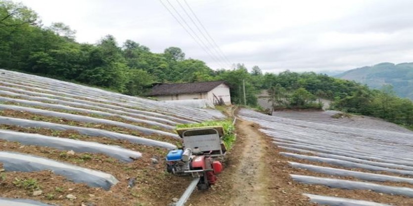 来袭！越代雨花石香烟哪里有卖“修心养性”