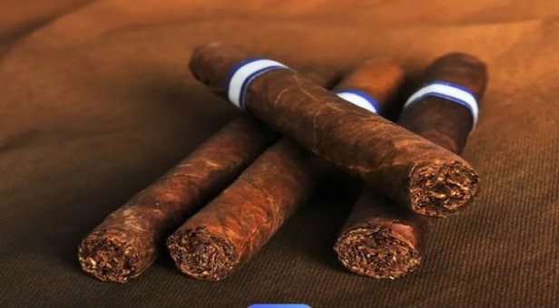 深入解析！娇子软传奇天子烟民真实体验,一手货源深度剖析