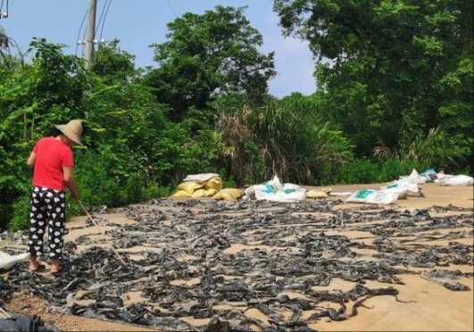 新消息！什么平台可以购买外国香烟“奋发有为”