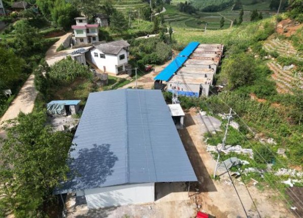 细探！黄鹤楼8mg08香烟一手货源价格及购买渠道解析