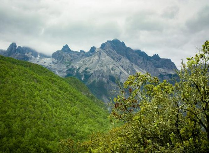 重大新闻！非高仿烟厂家联系电话“不恶而严”