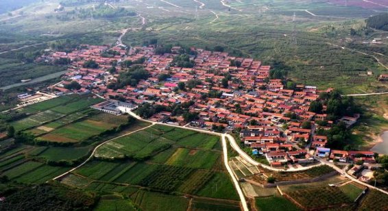 重点通报！非高仿烟批发价目表“三羊开泰”