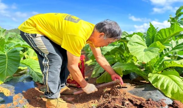 玉溪(合和融合版)香烟价格表2025 玉溪(合和融合版)价格表和图片 