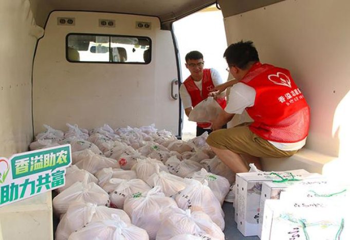 利群(长嘴)总仓批发，利群(长嘴)价格表图一览表