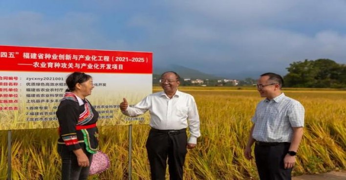 冬虫夏草天边什么价格？冬虫夏草天边价格表图一览表 