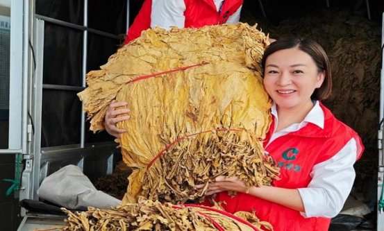 深入解析！泰山引力波香烟的市场现状