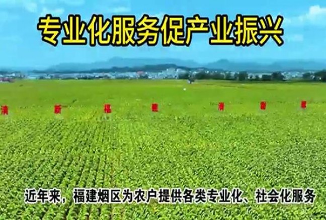 春雷(硬)一手渠道，春雷(硬)香烟价格表2024