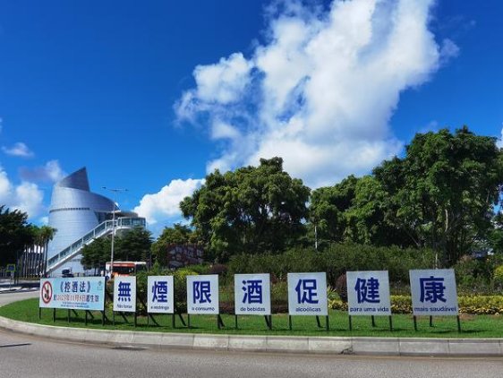 精选！七匹狼庆典烟民真实体验,一手货源深度剖析