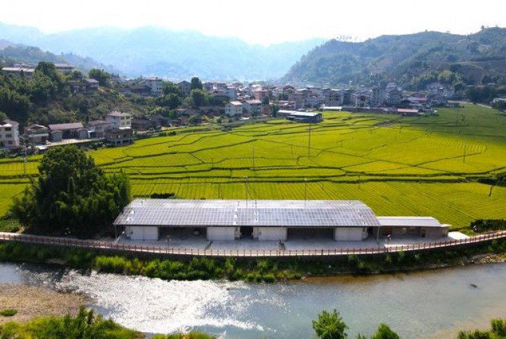 梅比乌斯(咖啡味蒙古版)总仓批发，梅比乌斯(咖啡味蒙古版)什么价格？