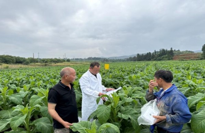 登喜路(特醇韩版免税)价格表和图片 登喜路(特醇韩版免税)批发价格是多少？