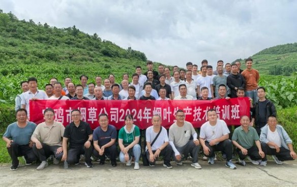 好猫(长安印象)批发价格，好猫(长安印象)价格表一览