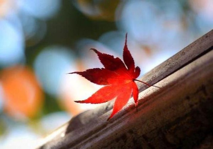 重大新闻！福建云霄烟厂官网“血流成河”