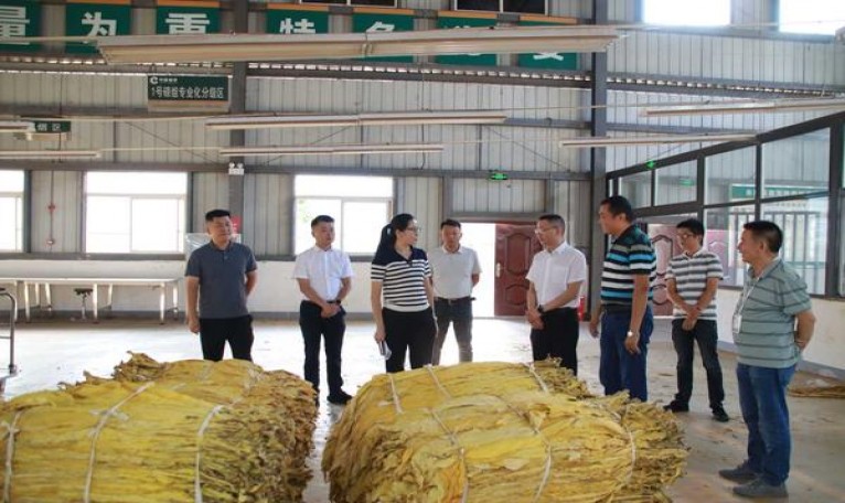 重大新闻！百乐香烟购买网站“正义凛然”