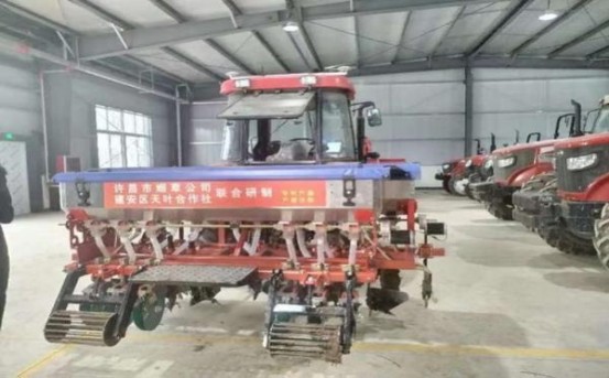 金鹿硬红10mg出口价格查询 金鹿硬红10mg出口价格表一览 