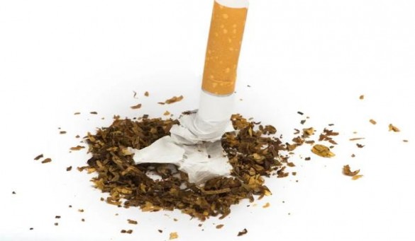 雄狮(新)批发价格是多少？雄狮(新)批发价格是多少？