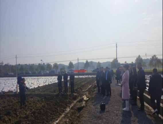 云烟(塞上好江南中支)价格表图一览表 云烟(塞上好江南中支)香烟价格 