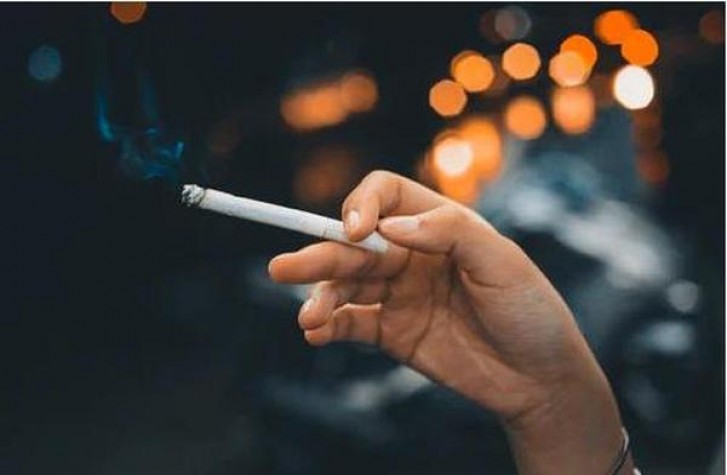 宽窄(2号)批发价格是多少？宽窄(2号)多少钱一盒？