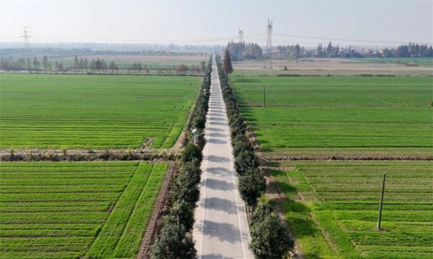 健牌(薄荷浩 香港免税版)价格表一览 健牌(薄荷浩 香港免税版)价格查询 