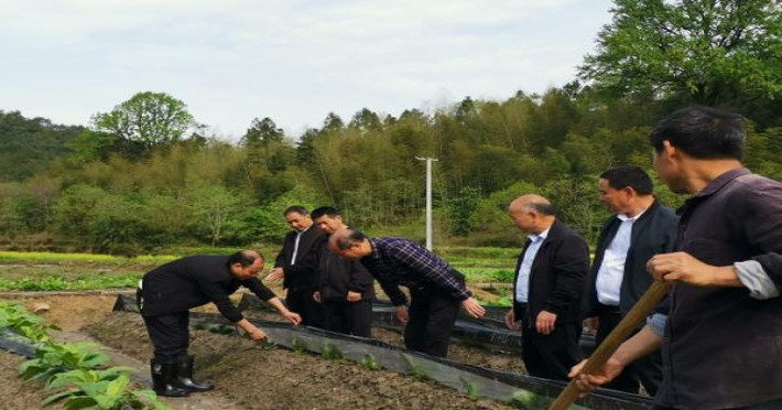 来袭！福建云霄香烟哪里便宜“犹豫不决”