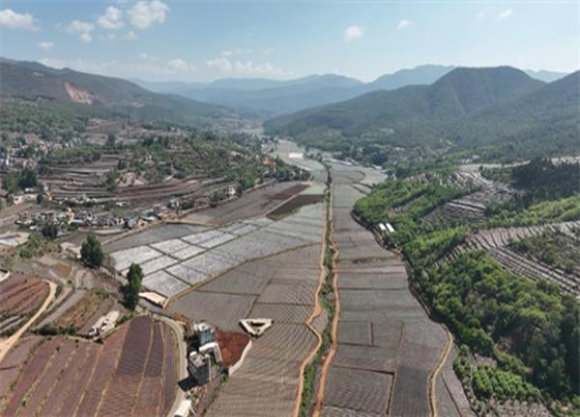 延安(红韵)厂家批发，延安(红韵)多少钱一包？