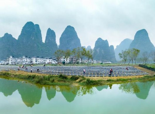 独家报道！国家烟草专卖许可证网上申请平台“添砖加瓦”