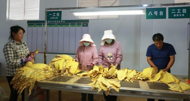 玉溪(细支庄园)参数详解 玉溪(细支庄园)价格表一览 