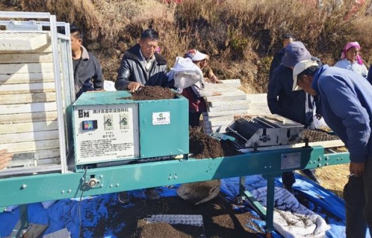 云斯顿(硬黑美税版)批发价格，云斯顿(硬黑美税版)价格查询