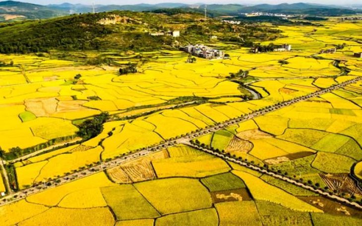 狮牌鸿运当头价格表一览 狮牌鸿运当头什么价格？