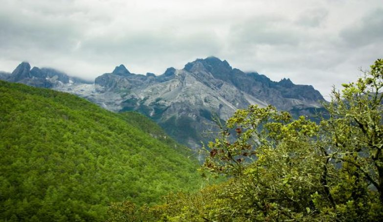 精选！天子小天子香烟的低价批发指南