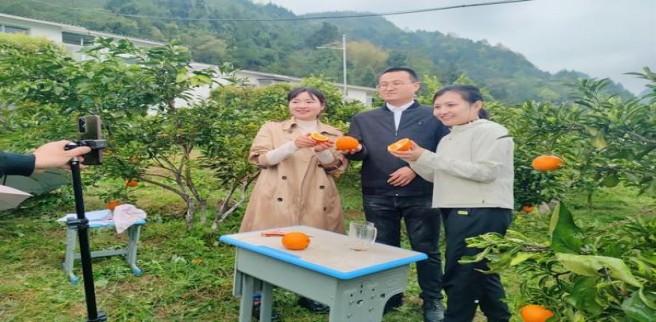 最新头条！网购雪茄在哪里购买“瞻前顾后”