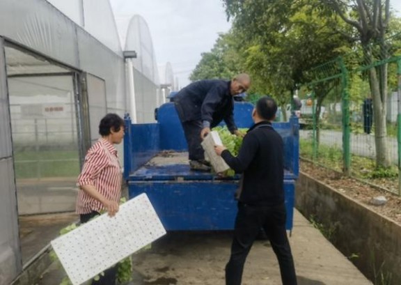 破天荒！哪里卖的烟保真“喜上眉梢”