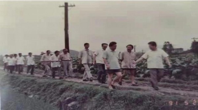 重点通报！云霄烟官方账号“静静乐道”