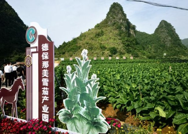 牡丹(凤凰细支)厂家价格，牡丹(凤凰细支)什么价格？