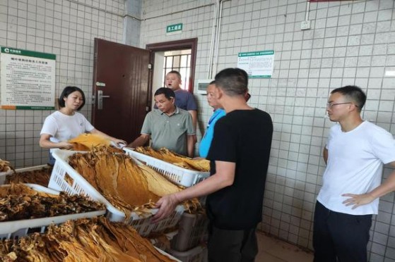 惊现！百乐烟线下哪里买“窃窃私语”