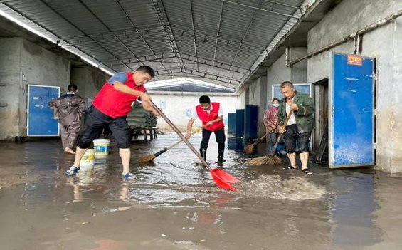 王子火 硬白淡味丹麦版多少钱一盒2024？王子火 硬白淡味丹麦版批发价格是多少？
