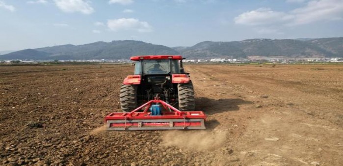 好猫(金丝猴)批发价格是多少？好猫(金丝猴)价格表一览 