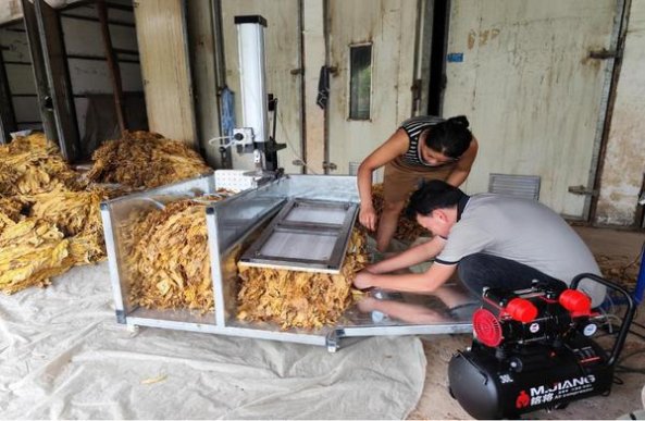 细探！新石家庄金烟民真实体验,一手货源深度剖析