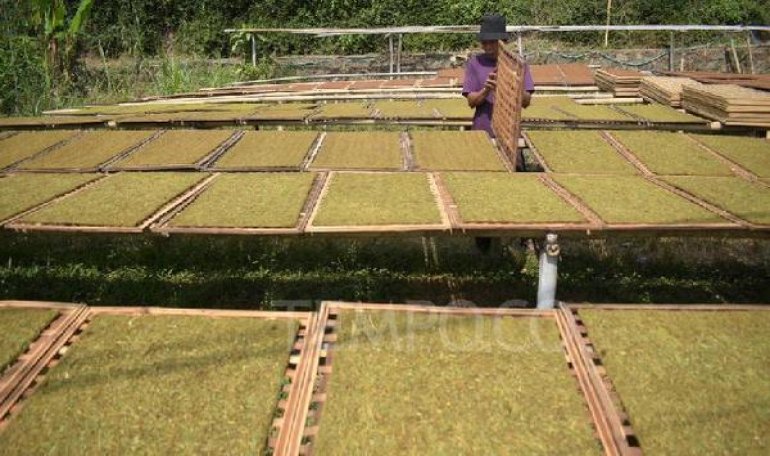 黄鹤楼桃花岛批发价格是多少？黄鹤楼桃花岛多少钱一盒2024？