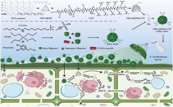 今日公布！哪个网站有香烟卖“千山万水”