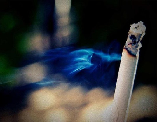 工字牌(10支小雪茄)价格表一览 工字牌(10支小雪茄)香烟价格表2025 