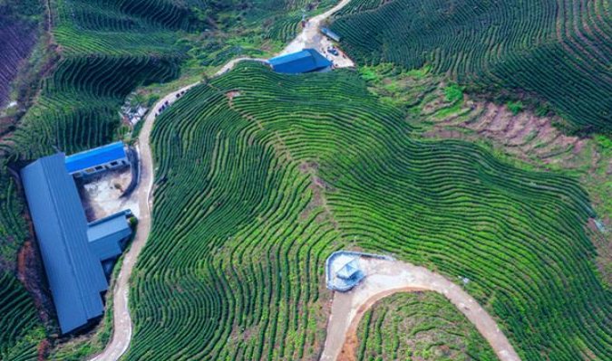 深入解析！黄山小红方印6mg香烟的低价批发指南