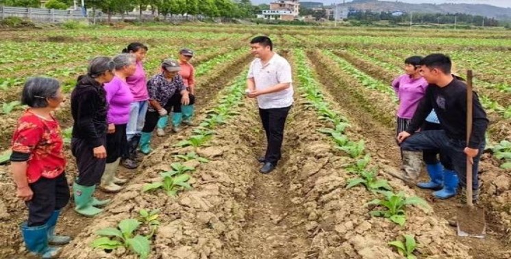 万宝路(软冰蓝巴西版)香烟正品价格表 万宝路(软冰蓝巴西版)批发价格是多少？