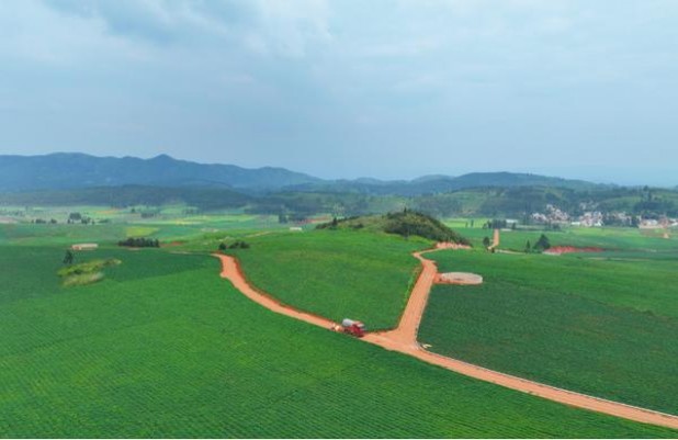 将军(第一泉)香烟价格表2025 将军(第一泉)价格表图一览表 