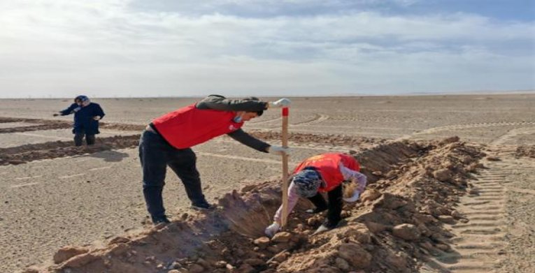 重点通报！香烟哪里买“大显神通”