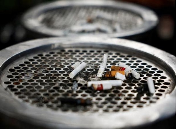 金圣(蓝)多少钱一盒？金圣(蓝)多少钱一盒2025？