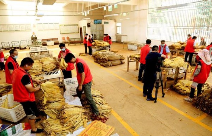 新消息！买烟去烟草专卖店行吗“如鸟兽散”